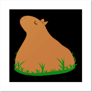 Capybara Posters and Art